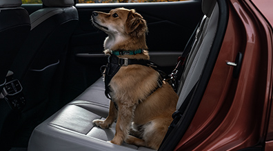  Kurgo Enhanced Strength Tru-Fit Small Dog Car Harness: Associated Accessory Product (AAP)*,* 