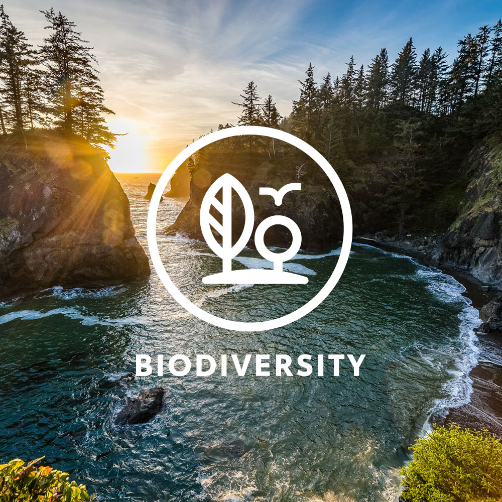 biodiversity icon