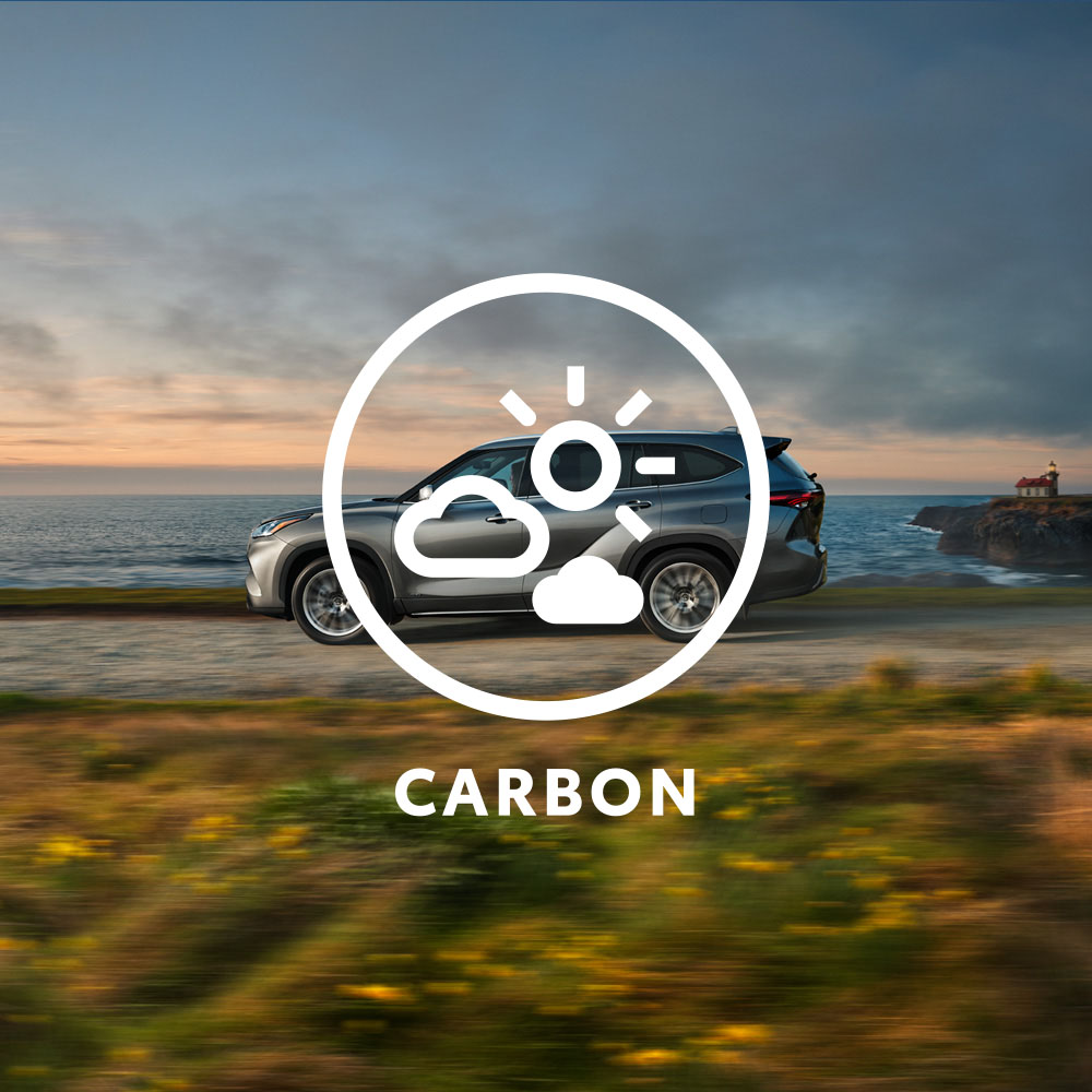 Carbon2x Icon